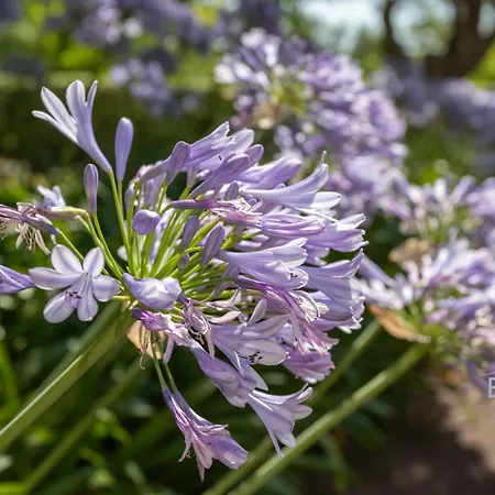 Apartment Smart Flat In Sea View Ac Parking And Pool *