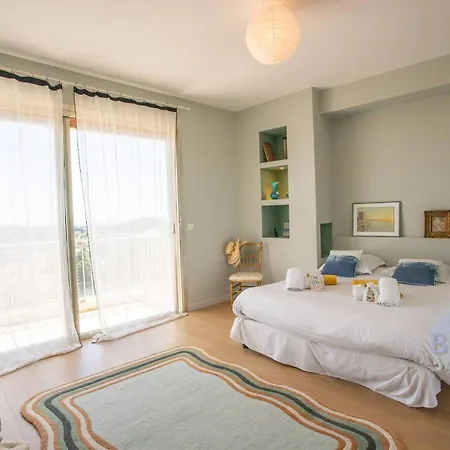Smart Flat In Sea View Ac Parking And Pool Appartement Antibes
