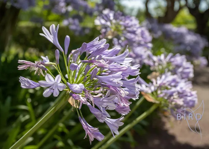 Daire Smart Flat In Sea View Ac Parking And Pool *